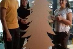 large_img_6338