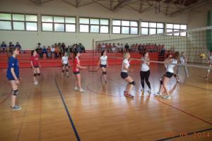 Državna domijada 2014.g