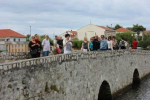 Ljetna škola 2014. Zadar-Nin